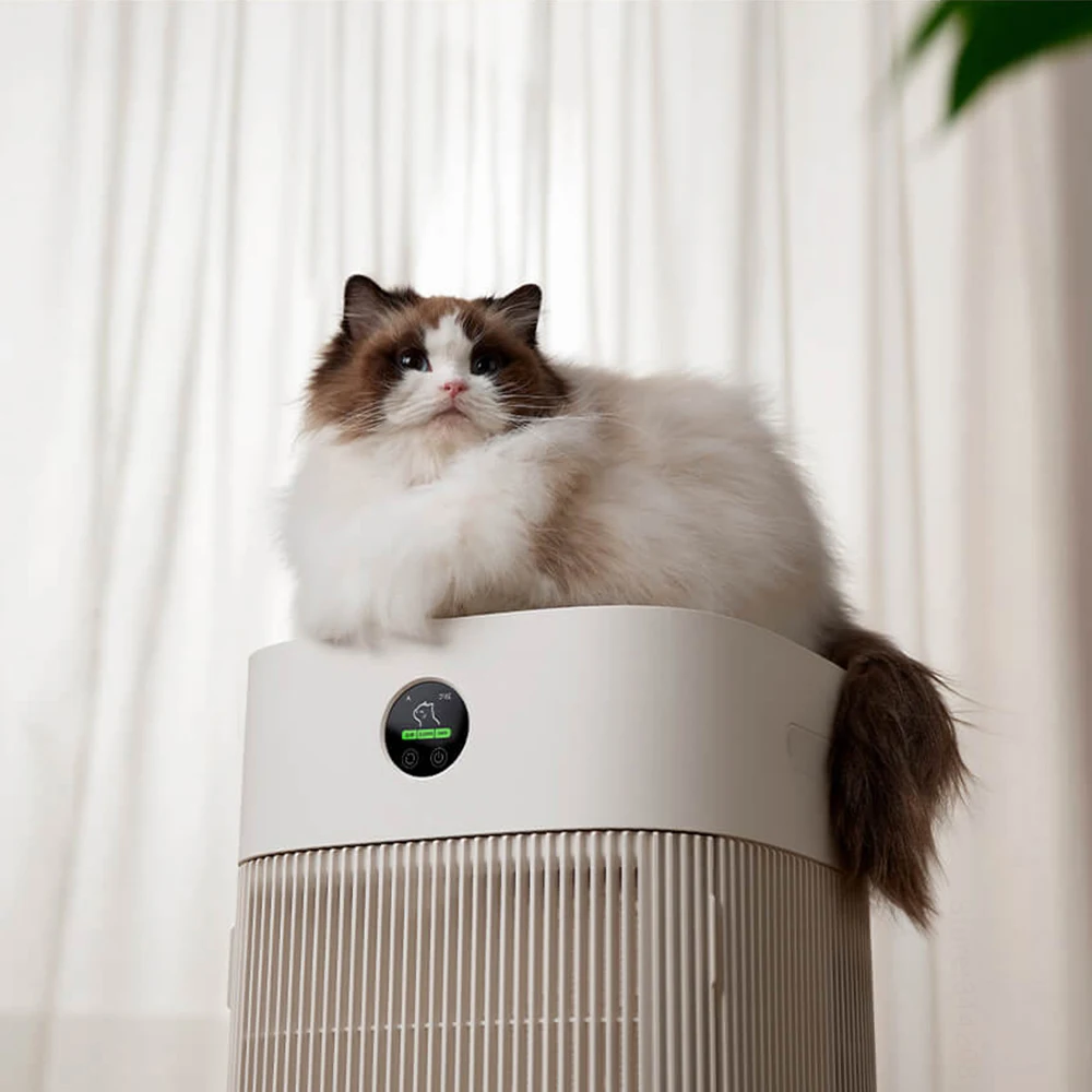 Cats Hair Fast Absorb Dogs Hai - Hair Care recension och pris